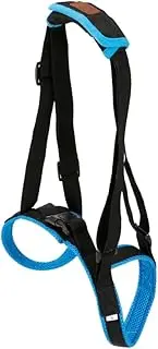 Kisangel Pet Support Belt Halloween Decorations Indoor Bracket Blue Auxiliary Belt Suit Hind Legs Dog Auxiliary Belt Blue Hind Legs Pearlescent Auxiliary Belt Lip Gloss Holder The Dog Blush