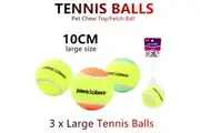 3x Large Pet Chew Toy Fetch Tennis Play Balls 10cm Sports Dog Puppy Throw Jumbo