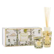 Baobab Collection Candle & Diffuser Boxed Gift Set - Tomorrowland 2025