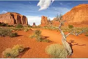Riivvdise Reptile Habitat Background Sandstone Rock Mountain Scenery Backdrop Desert Terrarium Background Aquarium Background Durable Polyester Background Vinyl 24x16in