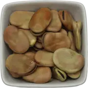 Fava Beans - Vicia Faba