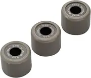 Daytona 90459 DWR Weight Roller for Motorcycles, Diameter 0.6 x 0.5 inches (15 x 12 mm), 0.3 oz (9.0 g), No Direction, Set of 3