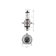 Narva H4 Halogen Globe Lights Headlight 24 Volt 75/70W P43T 48892