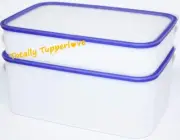 Tupperware Pak N Stor Containers w/ Seals Pack & Store Rectangles Purple