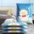 Space Saving Vacuum Compression Bag Sealed Quilt Storage Bag Travel