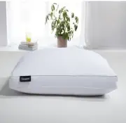 BEAUTYREST European White Goose Down Pillow, Jumbo (18x26x2)