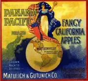 Panama Pacific Watsonville Liberty Girl Apple Retro Fruit Crate Label Art Print