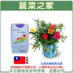 【蔬菜之家】IPLANT易開罐花卉-松葉牡丹(最新發明專利設計)