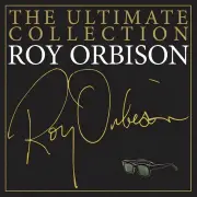 Roy Orbison The Ultimate Collection Vinyl Album & Crosley Record Storage Display Stand