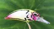 SPEEDBAITS Custom Airbrushed Duo Realis M65 8A Crank CLONE FALLOUT