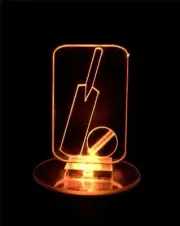 Cricket Flashing 3D LED Night Light 7 Colour Change Room Lamp