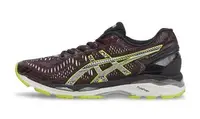 在飛比找Yahoo!奇摩拍賣優惠-【聰哥運動館】ASICS 穩定跑鞋 男 GEL-KAYANO