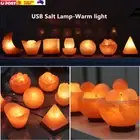 USB Himalayan Pink Rock Salt Lamp - Carved Shape Crystal Warm Light