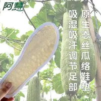 在飛比找Yahoo!奇摩拍賣優惠-【喵小姐家居】行走必備絲瓜絡鞋墊透氣軍訓鞋墊吸汗絲瓜瓤運動鞋