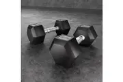Everfit 20kg Hex Dumbbells Set Dumbbells Weights Lifting Bench Gym Workout 2x10kg
