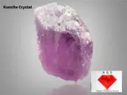 784 ct Purple color Kunzite crystal from Afghanistan