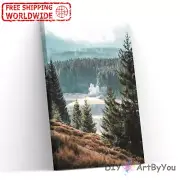 Paint By Numbers Kit Trees Scenery Nature Adult Decor Acrylic Wall Brush Framed