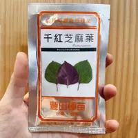 在飛比找蝦皮購物優惠-城禾農產🍃 韓國雙色芝麻葉種子 60粒 千紅芝麻葉種子 青森