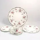 TENDERNESS by Royal Albert 5 Piece Place Setting made in England NEW NEVER USED
