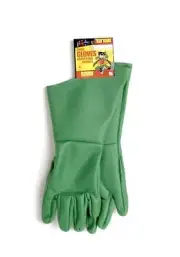 's Teen Titans Go! Robin Gloves, Green