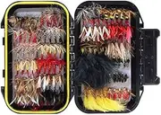 Fly Fishing Dry Flies Wet Flies 60pcs / 120pcs Assortment Kit with Waterproof Fly Box for Trout Fishing