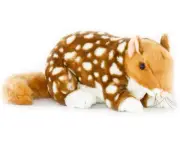 ~❤️~BOCCHETTA Eastern Quoll DOTTI 31cms 12" Plush Soft Toy Australian Native❤️