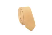 Dolce & Gabbana Men's Bronze Skinny Linen Silk Tie