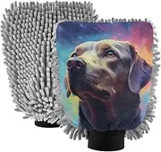 XYMZR Labrador Portrait Galaxy Absorbent Microfiber Car Wash Mitt, Funny Cute Anime Scratch Free for Cars Cleaning, Home Cleaning Mitts, 2 Pack, 10.24” L x 7.09” W