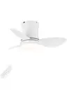 White Small Ceiling Fan with Light, 24-Inch, Remote Control