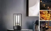 Portable Metal Table Lamp for Indoor/Outdoor ,Rechargeable Cordless LED Lamp,