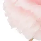 AA (Light Pink)Feather Table Lamp Adjustable Color Brightness Rechargeable Touch