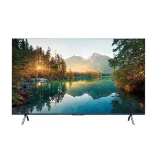 【Panasonic 國際牌】65吋 LED 4K HDR Google 智慧顯示器(TH-65MX800W)