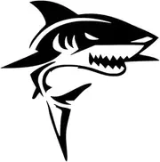 HaiRxr Personalized Car Stickers Angry Shark Car Sticker Motorcycle Bumper Trunk Laptop Window Decals (Color : Black, Size : 13cm)