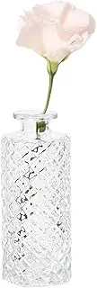 Clear Glass Vase - Embossed Vintage Clear Table Vase Decorative Clear, Glass Bud Vase Hydroponic Vase for Table Decorations, Wedding, Receptions, Home Decor