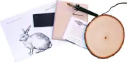 Walnut Hollow Creative Woodburning (Pyrography) Kit for the Beginner in Arts