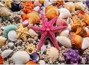 HUADADA Jigsaw Puzzles for Adults 1000 Pieces, Puzzles for Adults 1000 Piece, Challenging Game Toys, Impossible Puzzle, Family Decoration Puzzle - Starfish Walking
