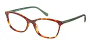 Radley RDO 6017 102 Men's Glasses Tortoiseshell Size 52 - Private Health Rebate - Blue Light Block Available