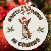 Funny Santa Paws Basenji Dog Lover Christmas Ornament Gift Tree Decor Hanging