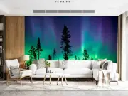 3D Woods Aurora Borealis Green Self-adhesive Removable Wallpaper Murals Wall 228