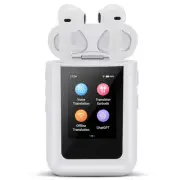 AI Languages Translator Earbuds,AI Offline Translator with LCD Touchscreen,No...