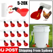 5-20X Automatic Cups Water Feeder Drinker Chicken Waterer Poultry Chook Bird AU