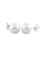 Splendid Pearls 14K 7-7.5mm Pearl Studs