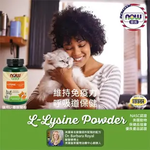 (NOW 娜奧)-Now Foods 貓用L-離胺酸粉 227g ~4450~現貨(L-Lysine/配方不含麩質)*2入