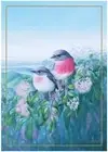 Maxwell & Williams Birds of Australia KC 10Yr Anniversary Tea Towel 50X70Cm R.
