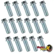 HOLDEN V8 308 304 EFI 5.0 EXTRACTOR HEADER BOLTS SET 16 VN VP VR VS VT COMMODORE