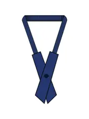 Royal Cross Over Tab Tie Yr7-10