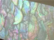 Rainbow Mother of Pearl Shell INLAY OVERLAY Thin Veneer Luthier Scrapbooking