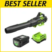 Lightweight 80V Cordless Leaf Blower - Turbo Mode, Quick Charge, Quiet Operation