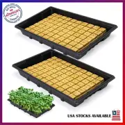 Hydroponic Rockwool Cube Kit - 2 Sets for Sprout Germination, Soilless Indoor✅