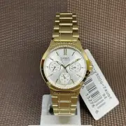 Casio LTP-V300G-7A Silver Analog Gold Tone Stainless Steel Classic Ladies' Watch
